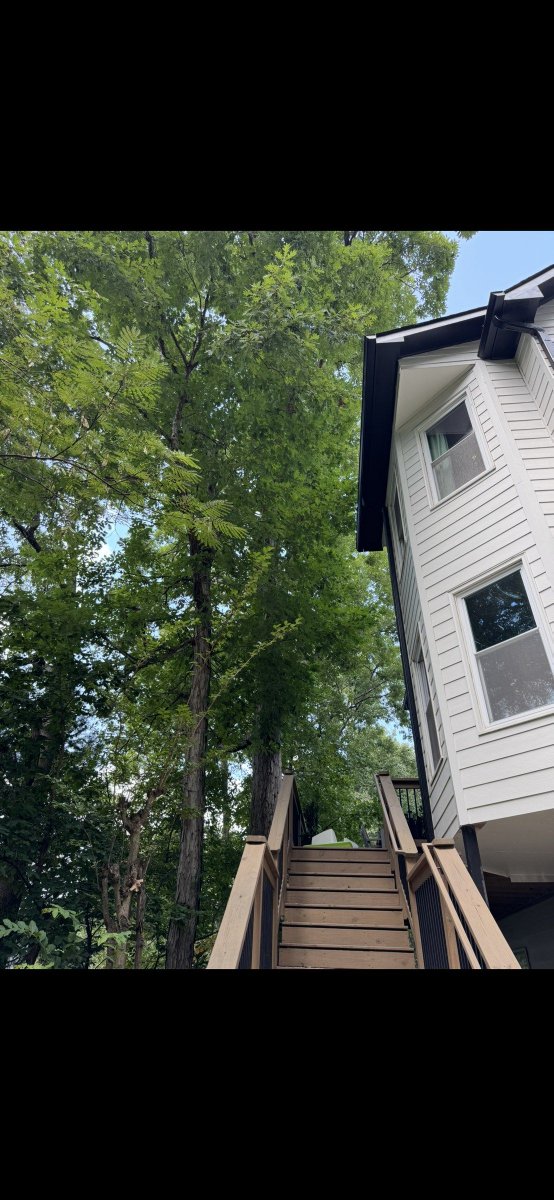 appalachian_of's tweet photo. Canton, GA: oak pruning opened the back deck and cleared the roof, siding, and gutters. Safe, careful work with low property impact and cleanup. #CantonGA #TreePruning https://t.co/kDKepkeoyo
