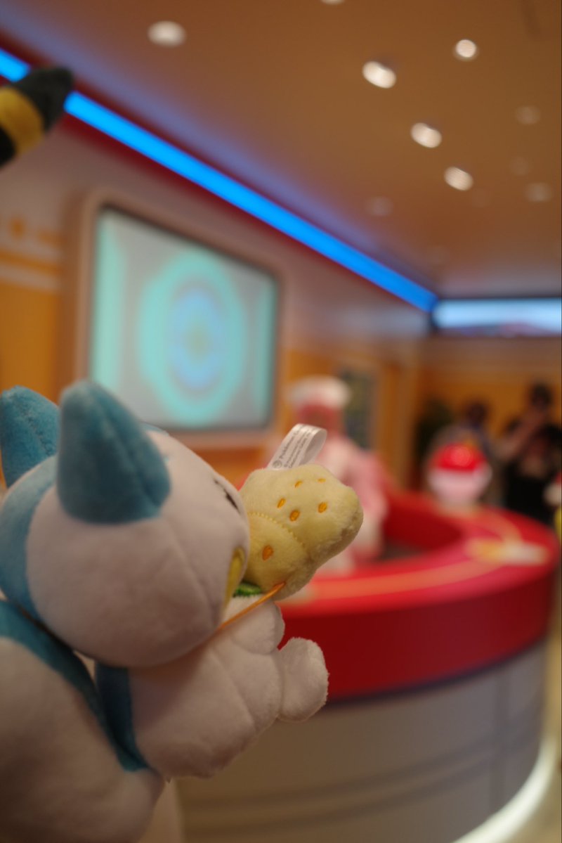 pipi285012's tweet photo. 台風でもポケパーク楽しかった🌀
屋外でもぬい撮りしたかったな( ；ᵕ； )
#ポケパークカントー https://t.co/ohvuT4ICrE