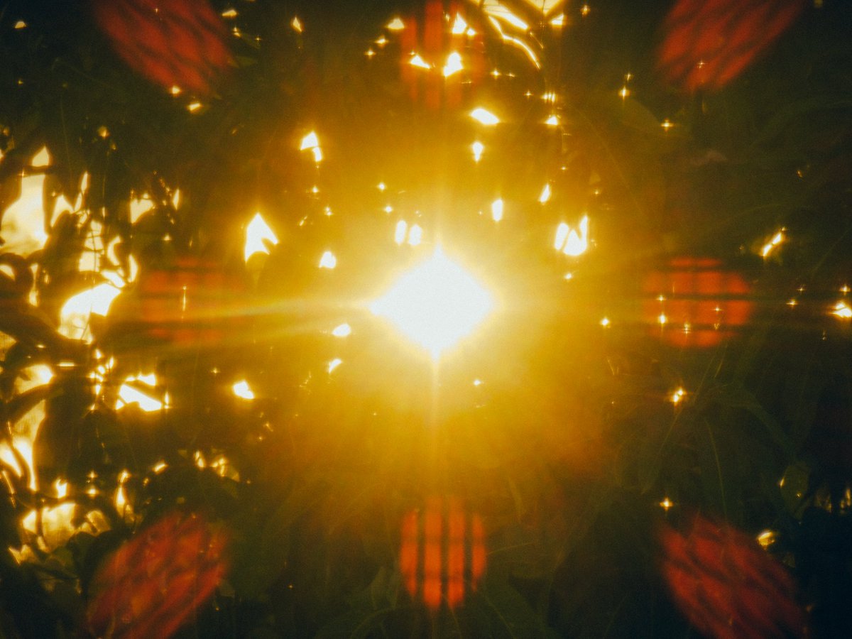 arthextic's tweet photo. what is golden hour if not poetry https://t.co/YS1O0MZ7NH