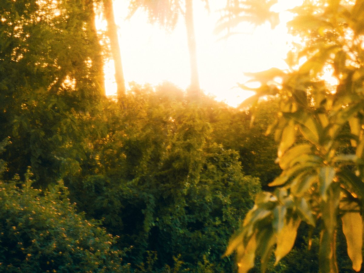 arthextic's tweet photo. what is golden hour if not poetry https://t.co/YS1O0MZ7NH