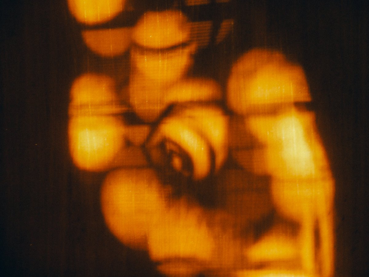 arthextic's tweet photo. what is golden hour if not poetry https://t.co/YS1O0MZ7NH
