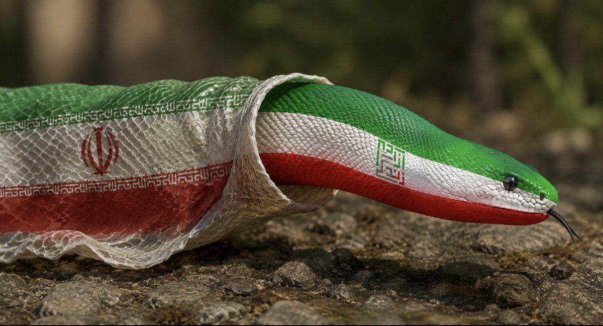 GladiatorOfShah's tweet photo. @nergalnemesis وظیفه ما این هست مطمئن شویم که جمهوری اسلامی و همه شاخه های درون و برون مرزیش یک جا از ریشه خشک بشه. https://t.co/3sME6jzMe0
