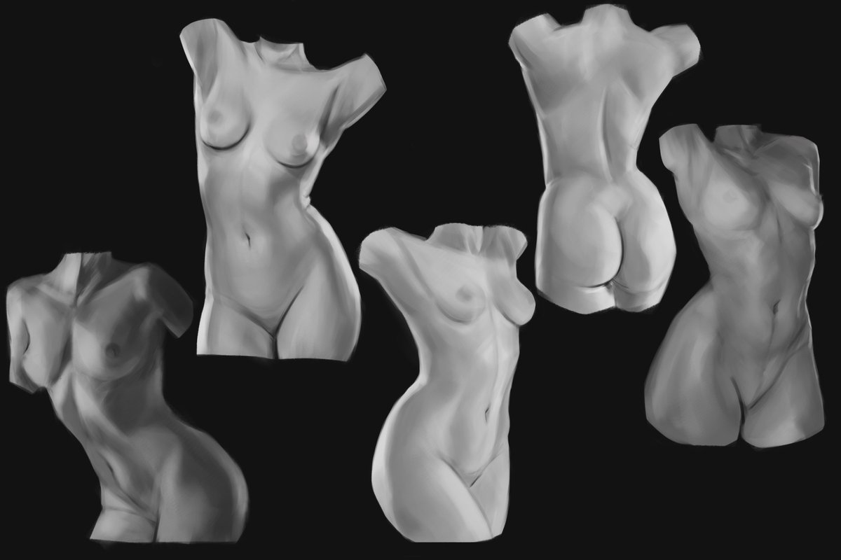 ksesh_kulesh's tweet photo. anatomy #study and brush test🩶 https://t.co/0HvIgDRNhz