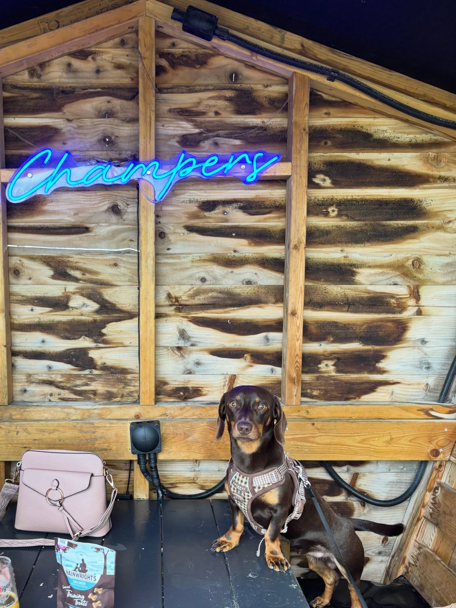 BaileyBukhari's tweet photo. Life lately: sausage edition. https://t.co/C9mNz1D4RJ