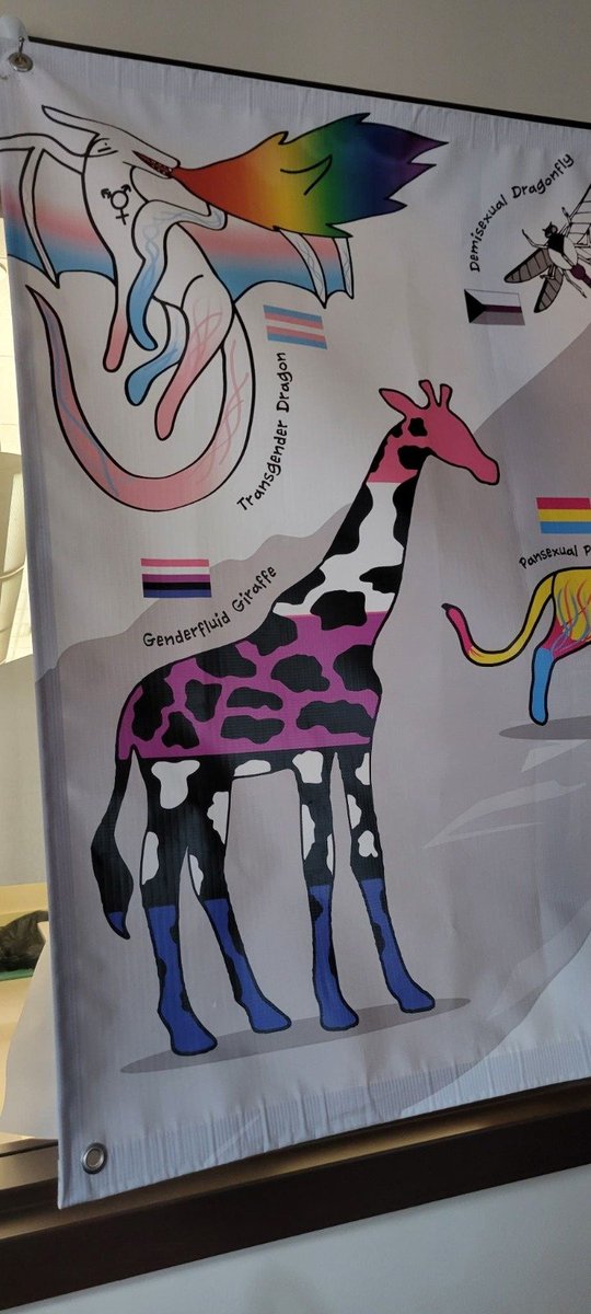 libsoftiktok's tweet photo. Hey @WPSedu, why are you teaching kids about transgender dragons and genderfluid giraffes?!

Received this from a very concerned parent https://t.co/EkwEK2mAQm