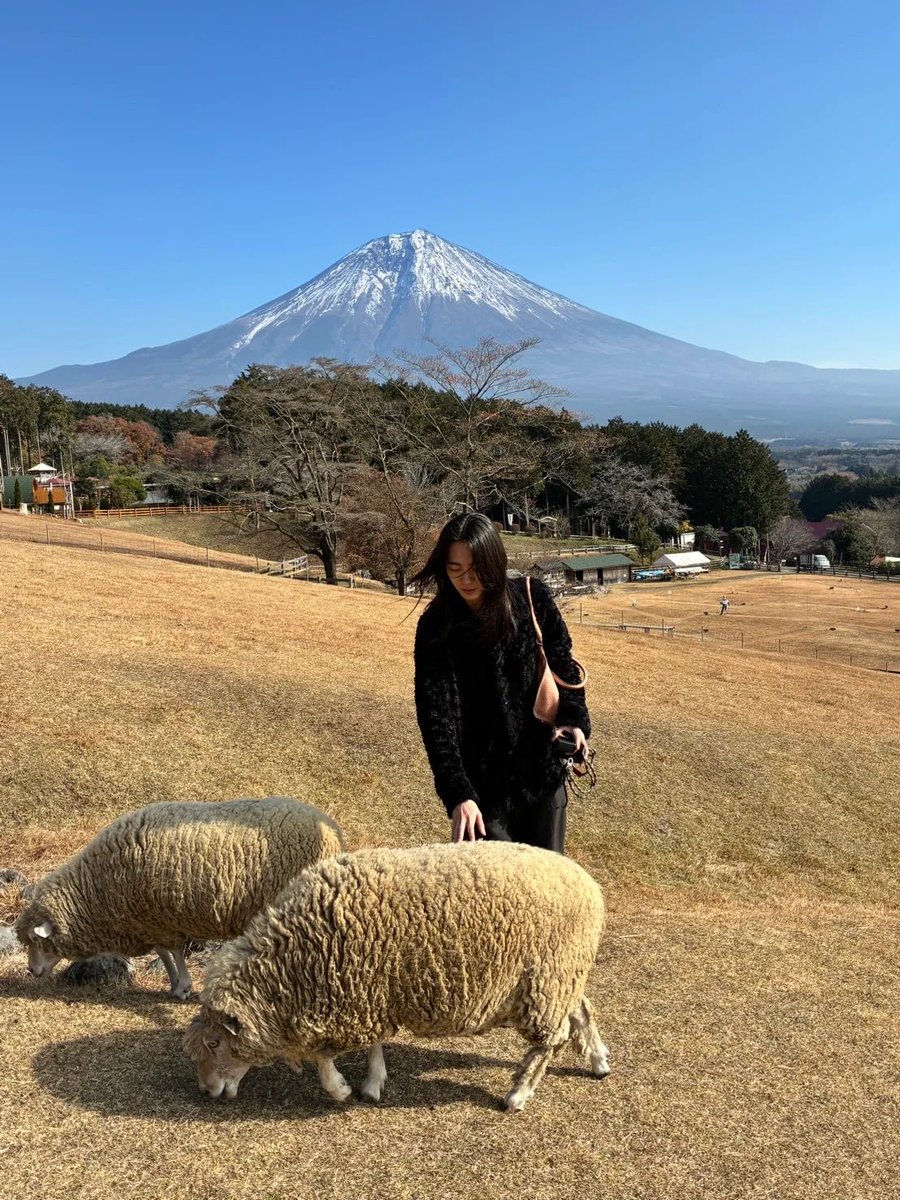 luv_pins's tweet photo. 籠宮さんってほんまに可愛いのでね https://t.co/dI8yUlKW5P