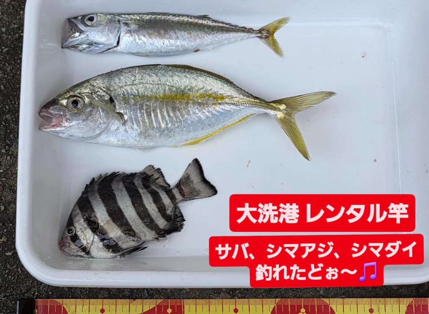 金丸 釣具 店(01)