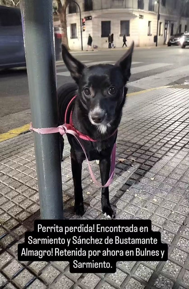 VICTORIAGUASTA1's tweet photo. Solo comparto https://t.co/zT1wfrlDbk