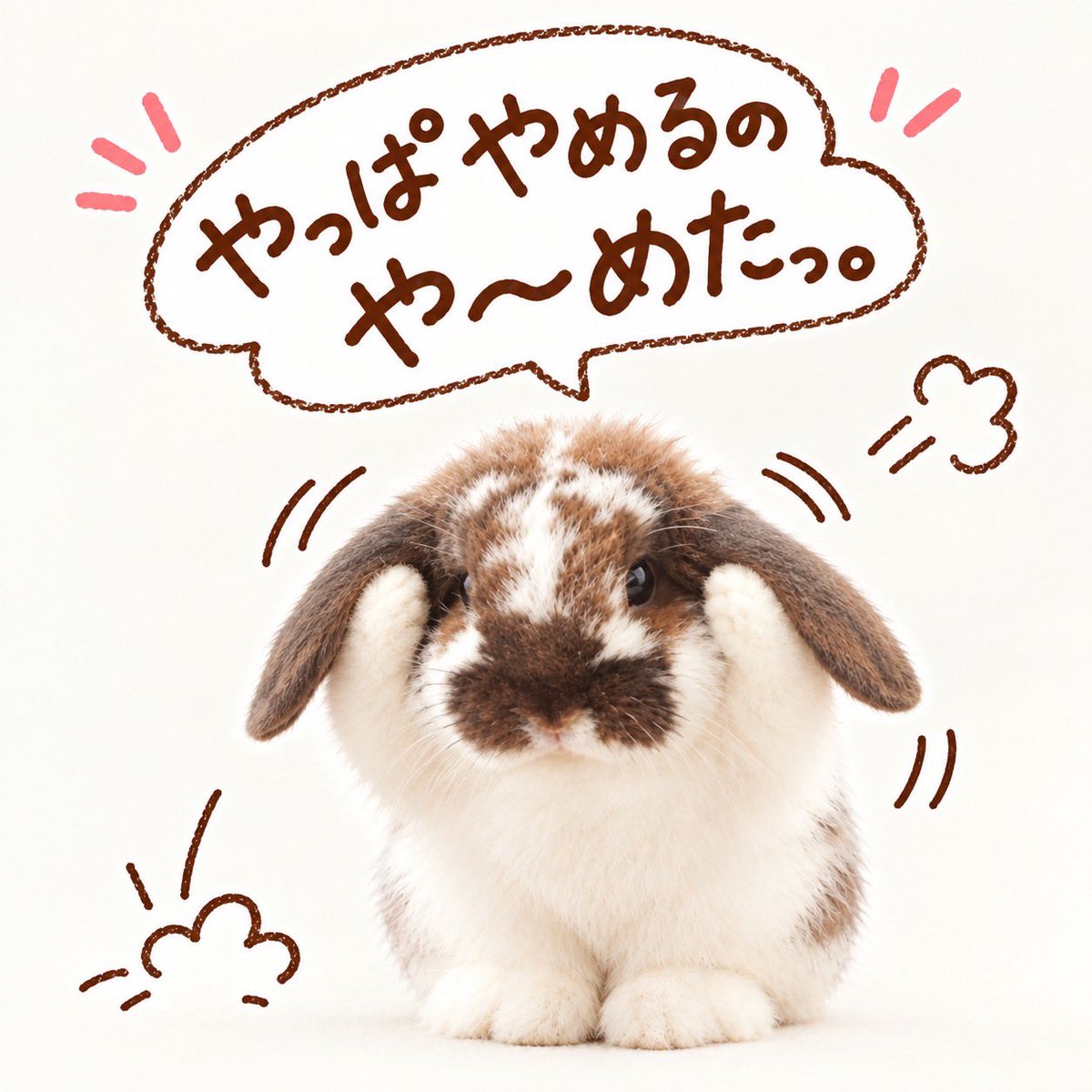 mon_kitty09's tweet photo. うちの子🐰が…🤭❤️ https://t.co/p94OFE5zDB