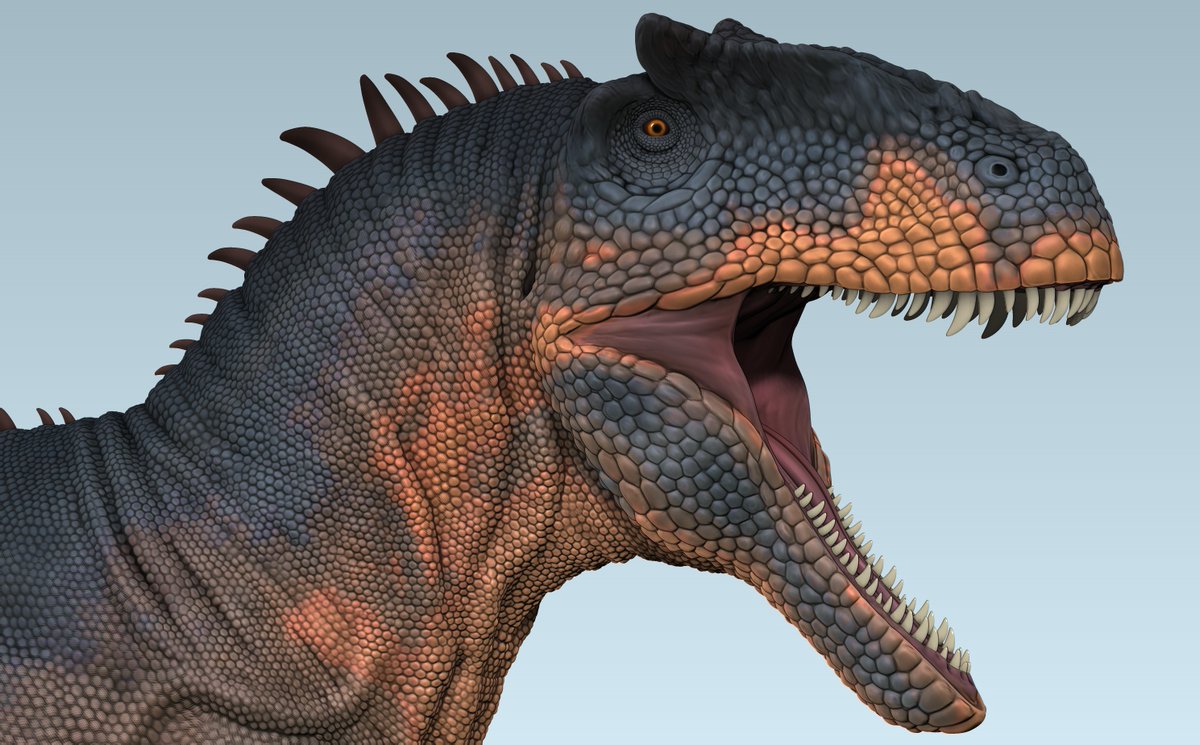 ElmehdiMouhsine's tweet photo. Allosaurus (WIP) polypaint https://t.co/WNHii8IKLi