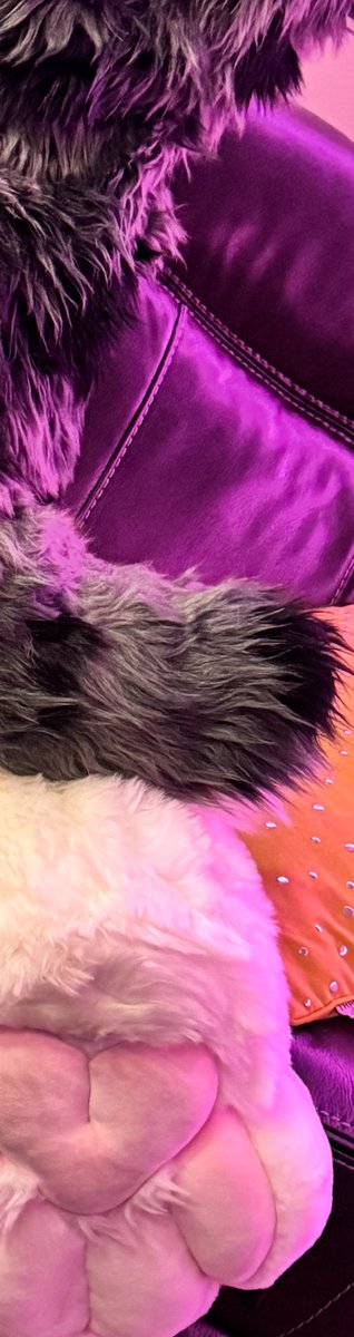 twopiecedior's tweet photo. 🐾 or 🍑 https://t.co/72MpdPiiSH