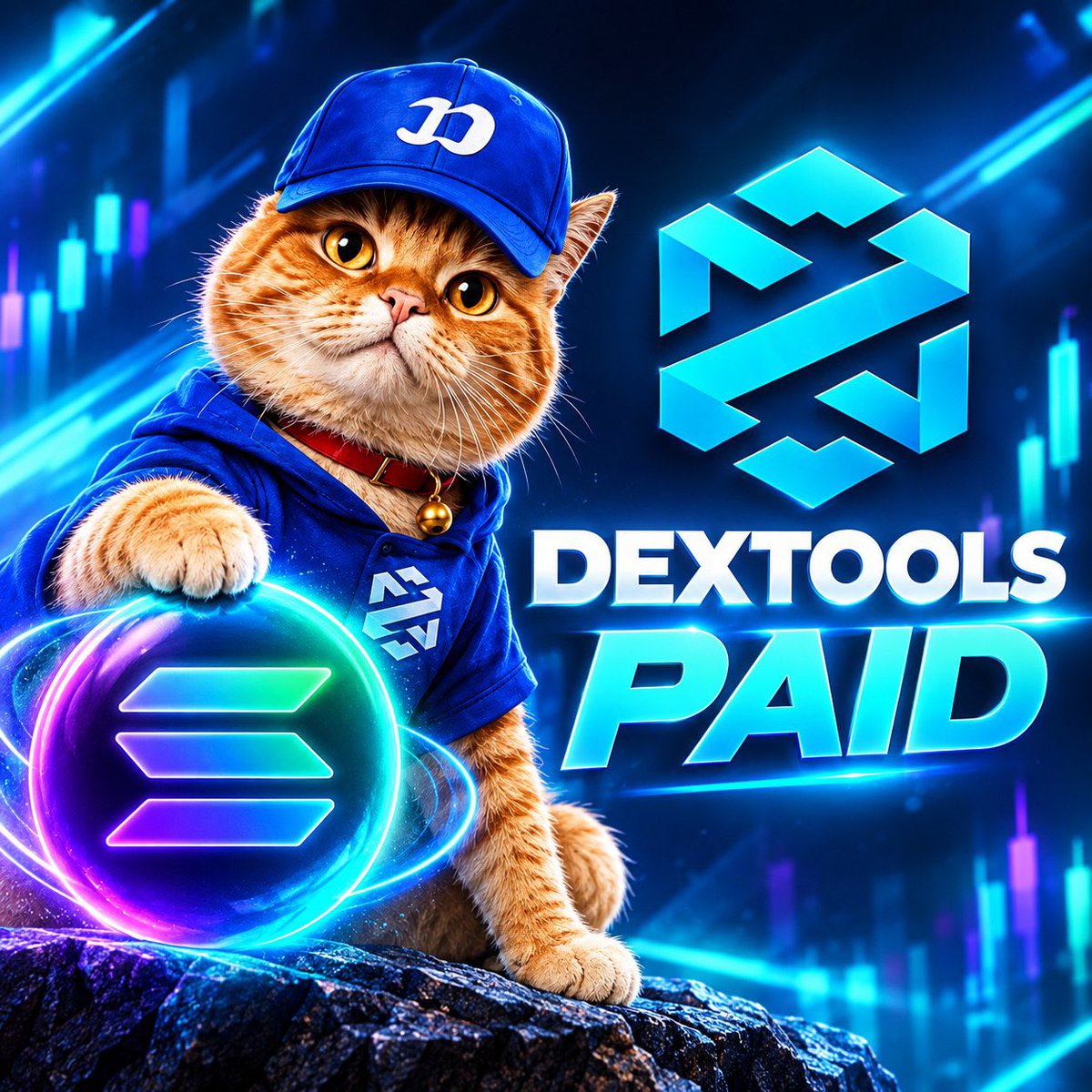 FOMOCAT_ONSOL_'s tweet photo. Dextools socials update is also paid for $FOMOCAT 

Lock in !!

6tXfZXND9VtrbPUqCrqNM5aUxnofebm3Mp2fhG4ctJXu https://t.co/XixUY9b3z9