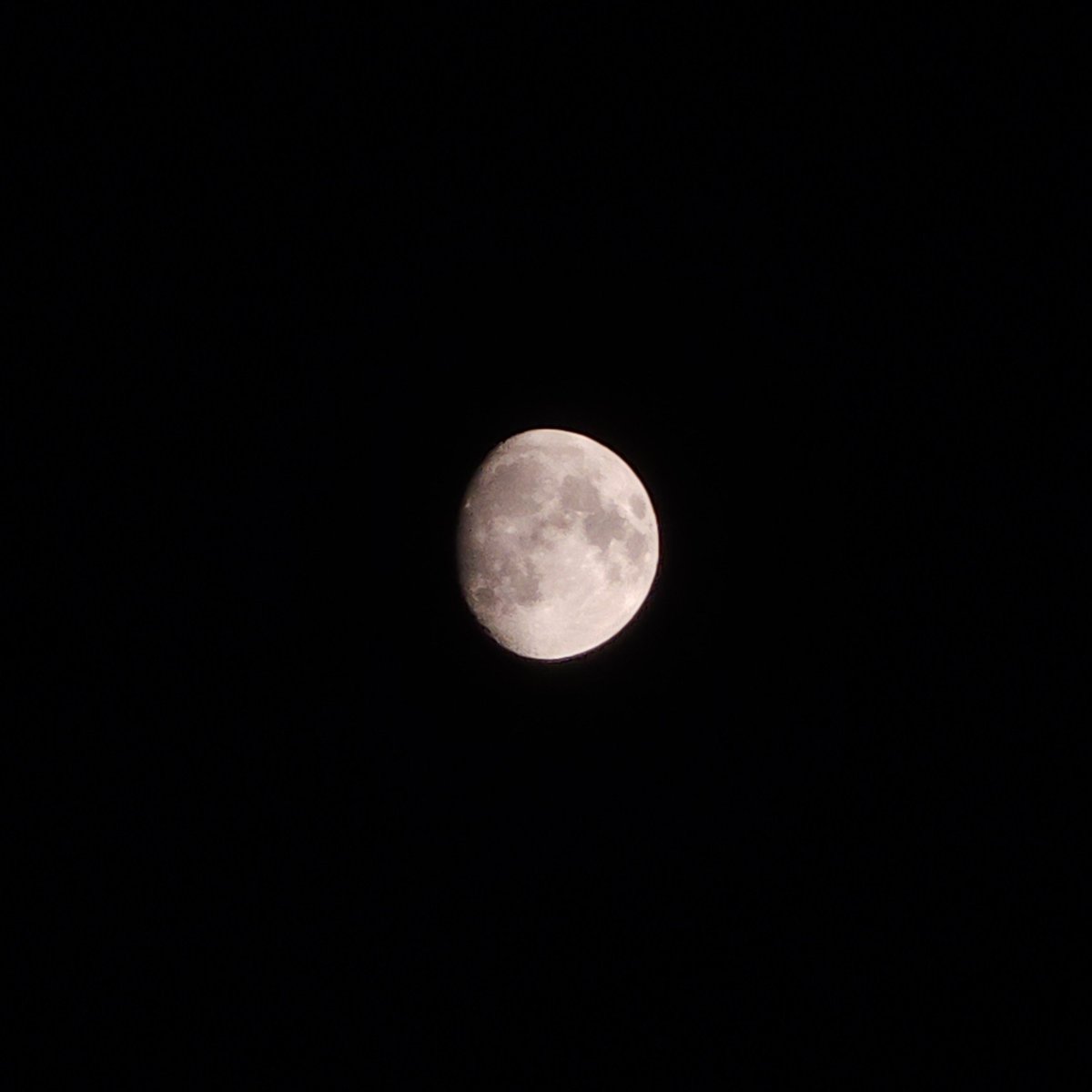 talkingtothemb's tweet photo. 260923🌙 https://t.co/lyqxu4Onne