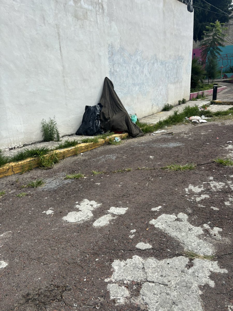 AlbertoDenunc's tweet photo. Urgente, autoridades! El parque junto a la Escuela Primaria Antonio Díaz Soto y Gama, está inundado de basura, vidrios y neumáticos. Ya hay plagas de ratas rondando, poniendo en riesgo la salud y seguridad de los niños. @GobCDMX @SSaludCdMx @atencioncdmx https://t.co/YYPLmyEwun