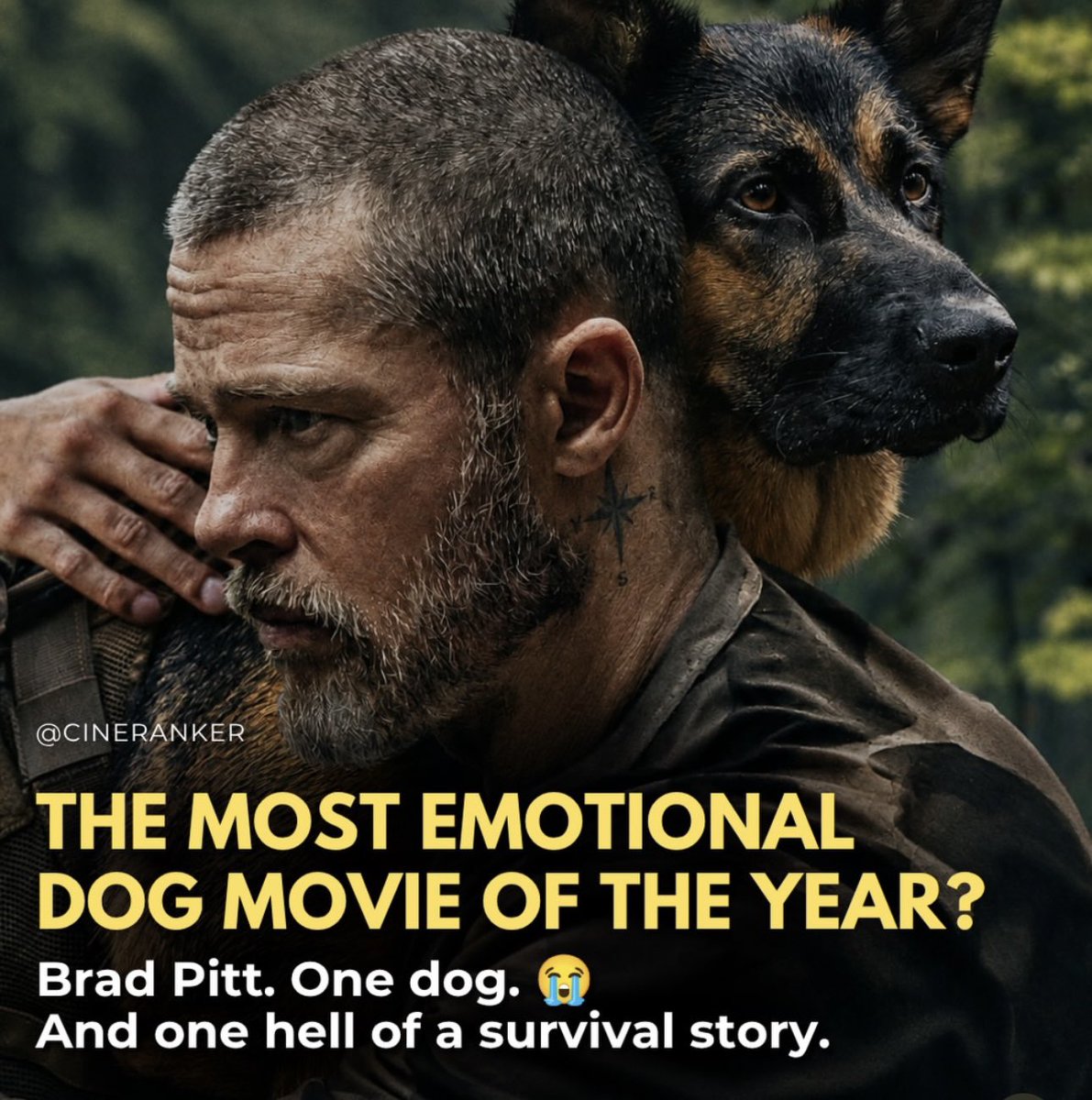 alfadelta0108's tweet photo. #HeartofBeast
#BradPitt
#GermanShepherd
For everyone who's ever said:
"That's not my pet. That's my family." https://t.co/ynCfLciHTb