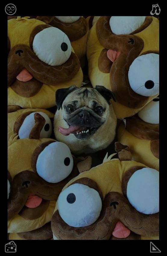 AslanBurcuuuu's tweet photo. Clara walked over to the window, smiling, and she gently stroked Milo’s head, then Snow’s, then Shadow’s, then Luna’s, her touch gentle and loving, her heart full of joy and gratitude.🍭Finished doing planks https://t.co/Gtxr5LZNnw