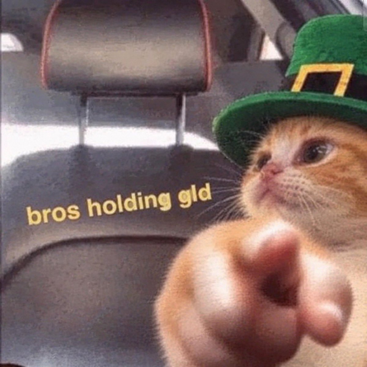 GLDCAT_'s tweet photo. @xStocksFi it’s $GLDx szn https://t.co/yEh5r0YutH