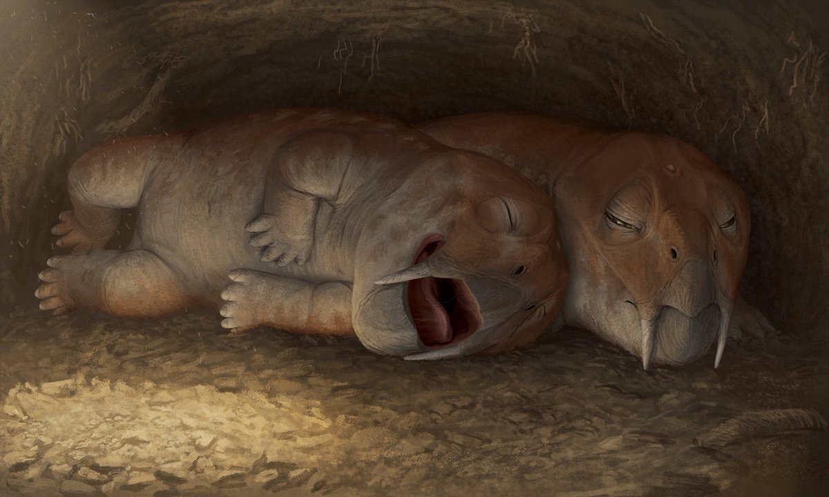 LiterallyMiguel's tweet photo. Cuddling Diictodon comm https://t.co/xgfE9aT9b4