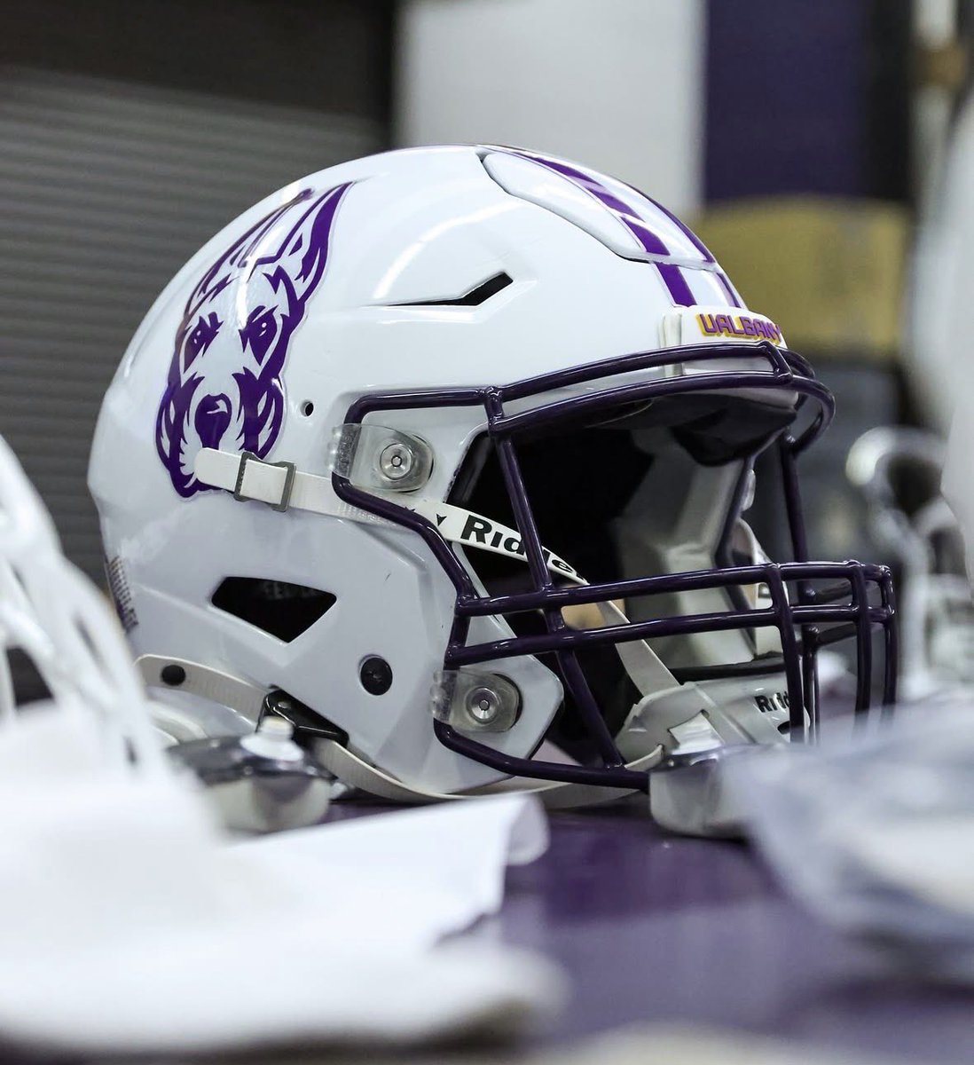UNISWAG's tweet photo. The new lids for @UAlbanyFootball 

#uniswag https://t.co/5qI8Ji5Ctr