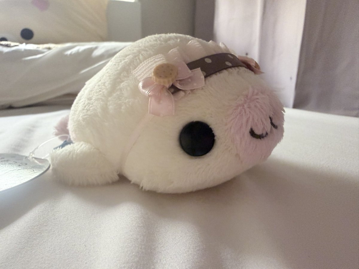 kiiriis2's tweet photo. 우왕 당연하죠 🤩🤩  새로 오고 있는 애기들도 있어서 🦭 나중에 또 올릴게요 ㅎㅎ
 
오늘은 제 최애 마메고마 보여두릴게요 ...
장모 이치고마인데 색이 정말너무너무 예쁜 딸기우유핑크+흰끼 아이보리라서 다른 이치고마들보... https://t.co/C1e695I1t5 https://t.co/liY5jd2bzZ