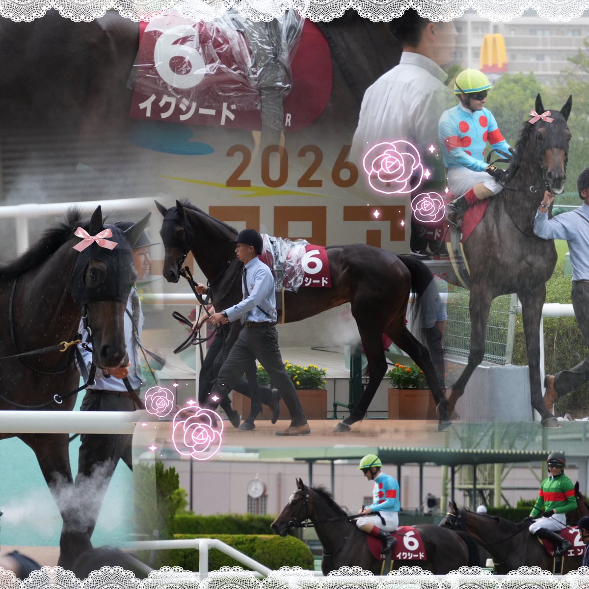 eqnx23's tweet photo. ·.⟡┈┈┈┈┈︎ ✧┈┈┈┈┈⟡.·

この世界に入ってまだ半年ですが仲良くしてくださると嬉しいです(ᐢ⸝⸝o̴̶̷o̴̶̷ᐢ)⌒♡

·.⟡┈┈┈┈┈︎ ✧┈┈┈┈┈⟡.·

#競馬好きな人と繋がりたい
#馬好きアカウント向けプロフ帳 https://t.co/fdjoG4H46x