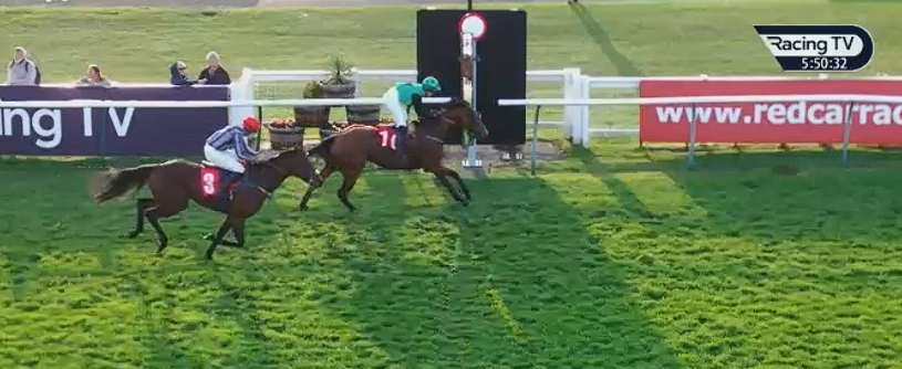 RacingPointTips's tweet photo. SOUL WARRIOR 🥇
17/2 WINNERRRR✅✅
#REDCAR https://t.co/k1JJt7IPaC