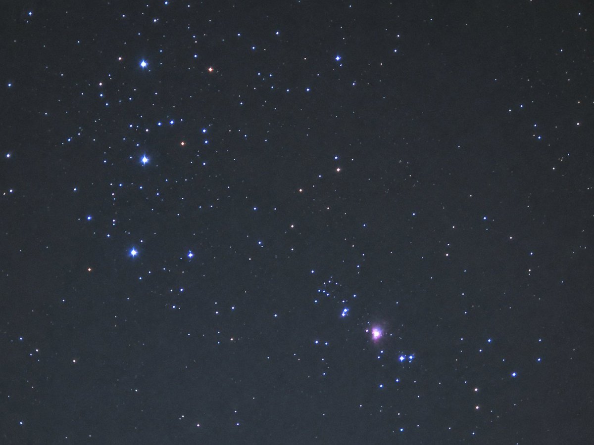 BlueAcc0unt's tweet photo. Orion Nebula https://t.co/EcOWtmTbN3