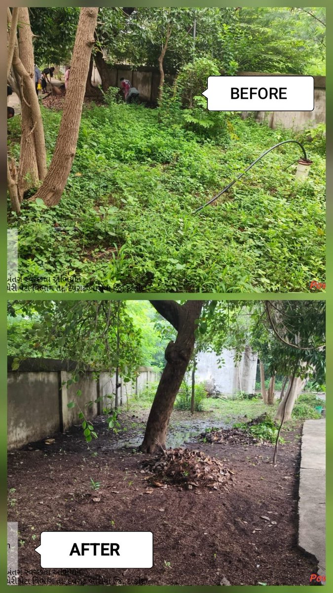 DaoDahod's tweet photo. સેવા સંકલ્પ અભિયાન અંતર્ગત સ્વચ્છતા હી સેવા અભિયાનના ભાગરૂપે ખેતીવાડી શાખા, જિલ્લા પંચાયત દાહોદ તથા પેટા વિભાગીય કચેરી ખાતે સ્વછતા માટે તમામ સ્ટાફ એ શ્રમદાન કર્યું
#CleanGreenGujarat
#SHSDHD https://t.co/fDOPhfVbSz