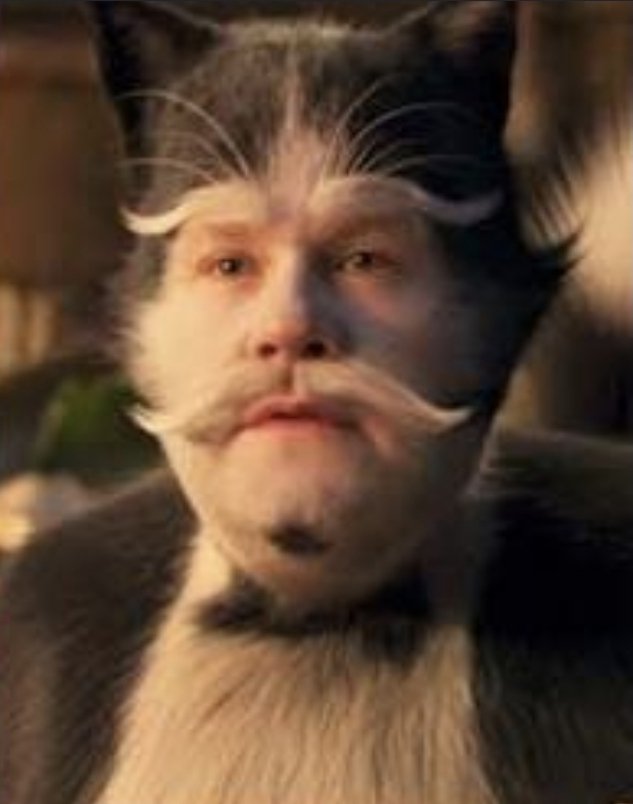 Cali_Sense's tweet photo. @JSwitch56 @IGN For some reason, every time I see latinx, I correlate it with a cross between a Latin person and a manx cat. Something like a cat person. So he probably looks something like this... https://t.co/I2kpOVurPC