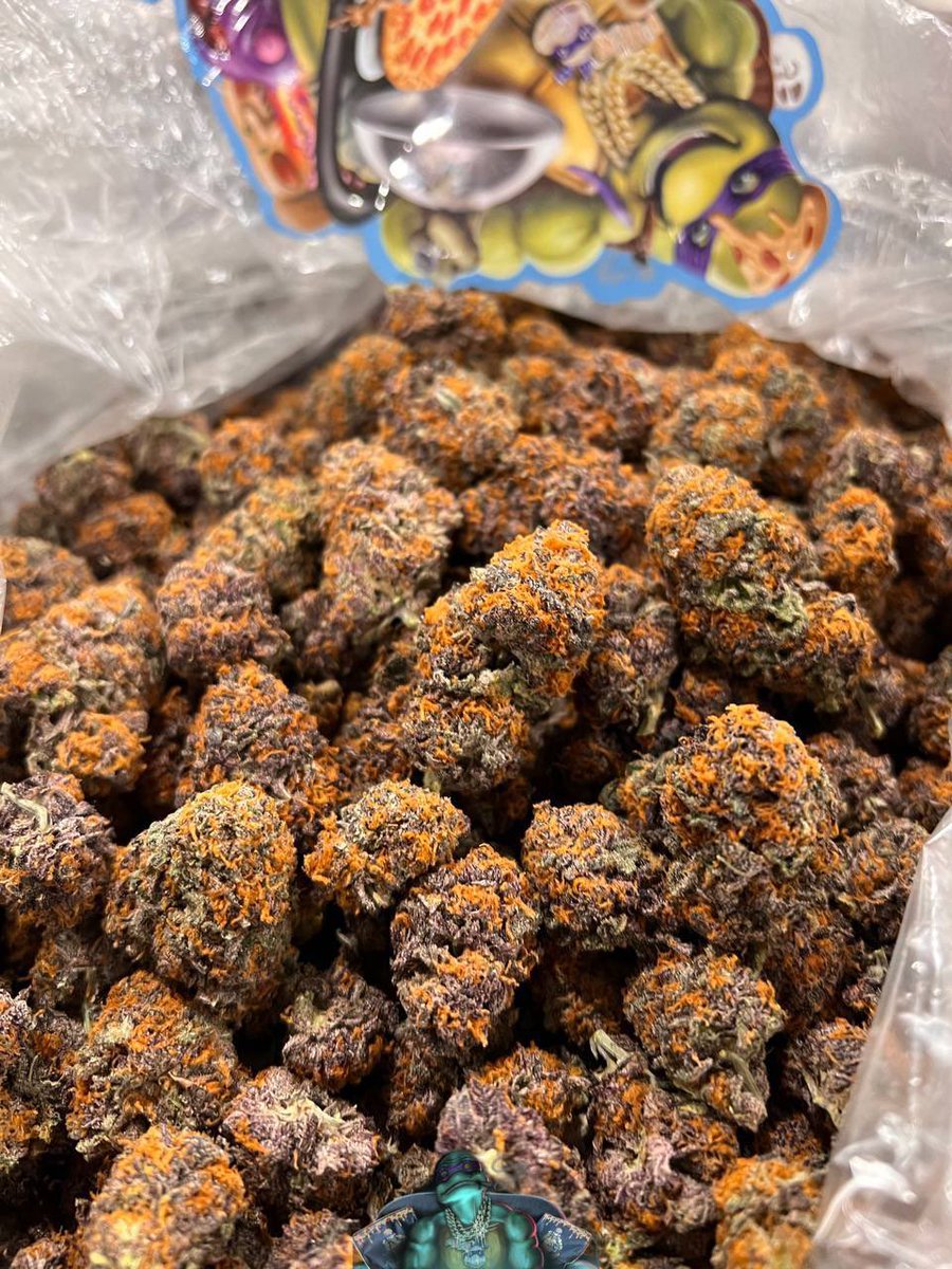 LiftedleafHQ's tweet photo. 🐢 DONATELLO 🐢 https://t.co/3MqZzZA0pL