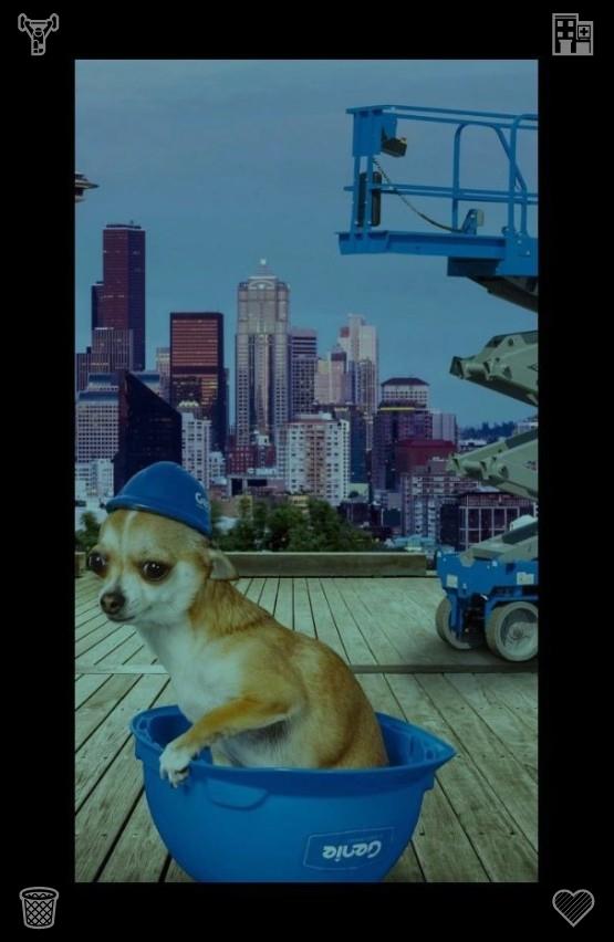 RRbaseball0116's tweet photo. Kittens make people learn to enjoy quiet trivial time. No noisy disturbances, only gentle companionship and peaceful self reconciliation.🌇Acceptance, inspection, processing  no delays, all on the company’s work schedule! https://t.co/xs03ZsPzTo