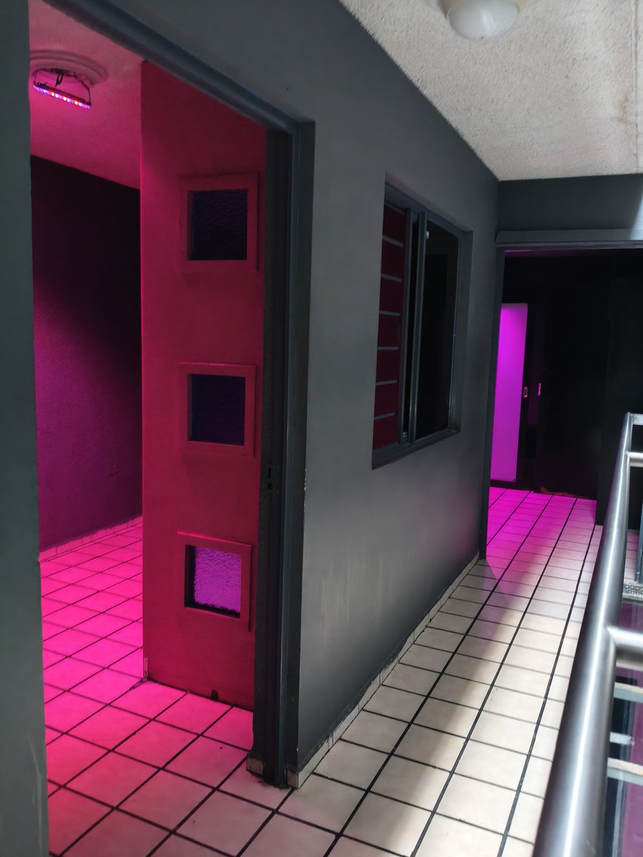 gremioslp's tweet photo. #MiercolesDeMorboYProvocación en @gremioslp te esperamos; encontrás un ambiente exclusivo y único para hombres, con tres niveles de diversión. ¡No te lo pierdas!
*Solo adultos
Promo de 5 PM a 6 59 PM
#Crusing #SLP #GaySLP #bearsgay https://t.co/7nPkeu8TXu