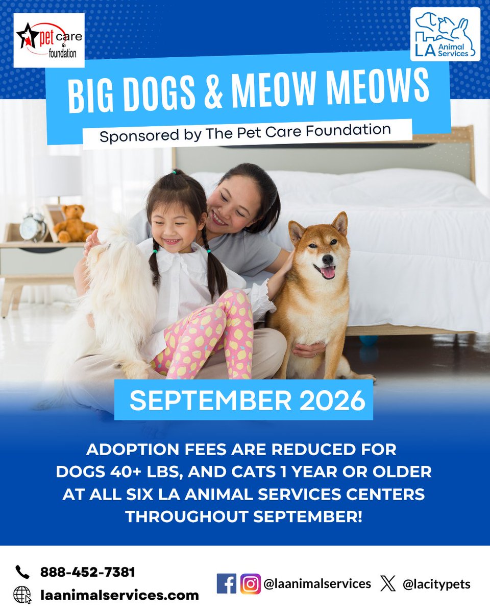 LACityPets's tweet photo. All month long, dogs 40+ lbs and cats 1 year and older have reduced adoption fees at all six LA Animal Services Centers, thanks to The Pet Care Foundation!
Come meet your new best friend during the Big Dogs &amp; Meow Meows adoption event!

#LACityPets #Adopt #Foster #LosAngeles https://t.co/HqhqXhKyWb