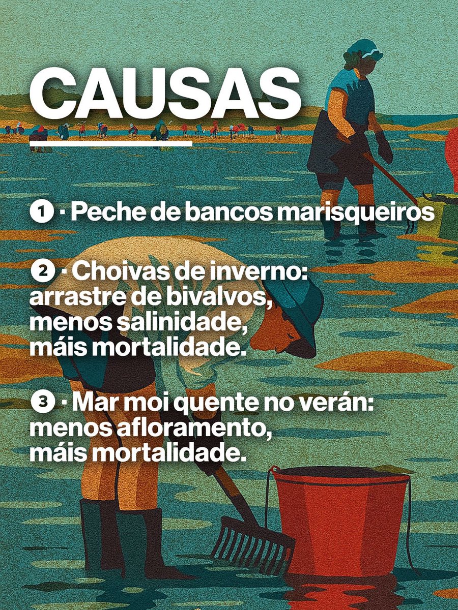 galicia_diario's tweet photo. #Política, #BNG, #Eurodeputada | Ana Miranda: “A frota de baixura debe quedar exenta dos TACs e cotas pesqueiras”. Ler máis en Facebook https://t.co/ZYAg4RnKbt / @BNG_ParlEuropa @anamirandapaz https://t.co/TLdKz7M7Oa