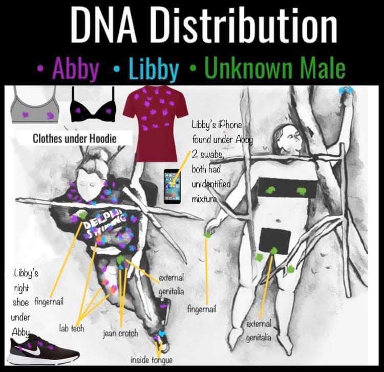 deblanc_jenna's tweet photo. Here is the most updated DNA distribution graphics. The green represents unknown male DNA. The placement of it is unlikely to be a coincidence. 

#RichardAllen #FreeRichardAllen https://t.co/WUXCrWos31