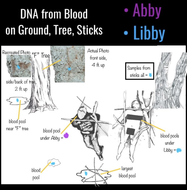 deblanc_jenna's tweet photo. Here is the most updated DNA distribution graphics. The green represents unknown male DNA. The placement of it is unlikely to be a coincidence. 

#RichardAllen #FreeRichardAllen https://t.co/WUXCrWos31