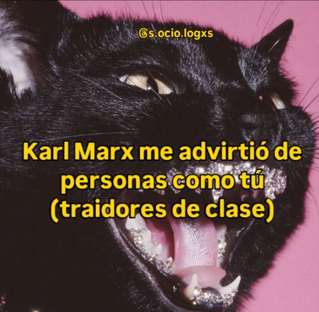 nacional_memes's tweet photo. 🐷 https://t.co/D5DcWhNXPN