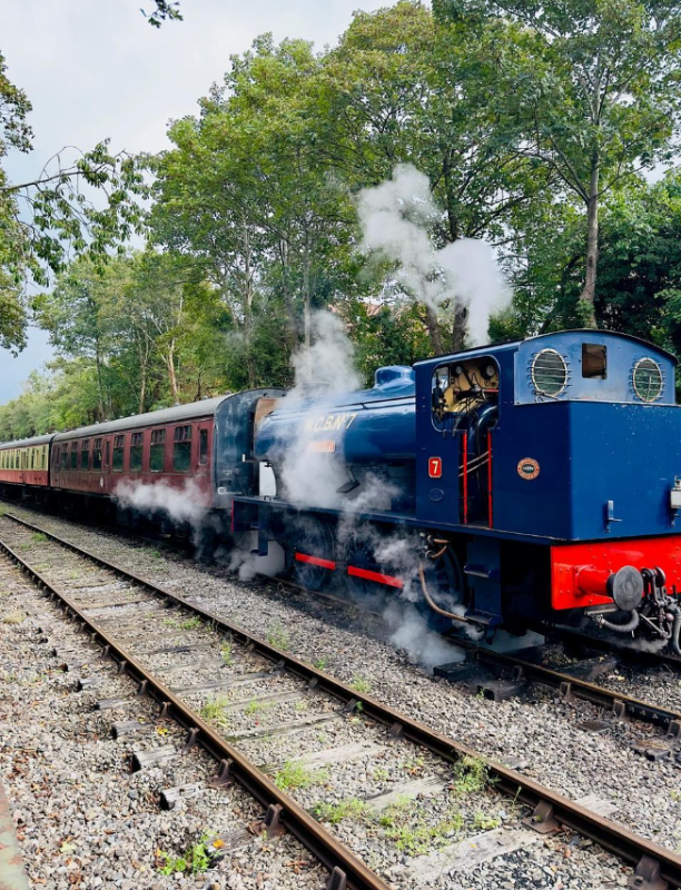 RelishRunning's tweet photo. The Bath &amp; Bristol Railway Race runners of the Half, 25km, Marathon and 50km have sections run alongside the Avon Valley Railway 🚂

📆 Entries for our next event on 11th Oct close at 09:00 on Friday 2nd Oct 

ℹ️ Find out more here https://t.co/SUCrTFqFD1 https://t.co/2Xdtljw2UK