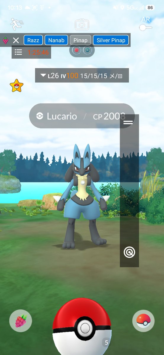 Shinytracker's tweet photo. 42.874532,-85.826812 lucario go go go https://t.co/rPlylUZs1u
