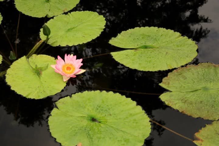 puchpal's tweet photo. Best use by 📅 .. nothing escapes this..hence while still sweet , start slowly 🐌 towards ........ 📸 otherP https://t.co/NWYXr0oWbr