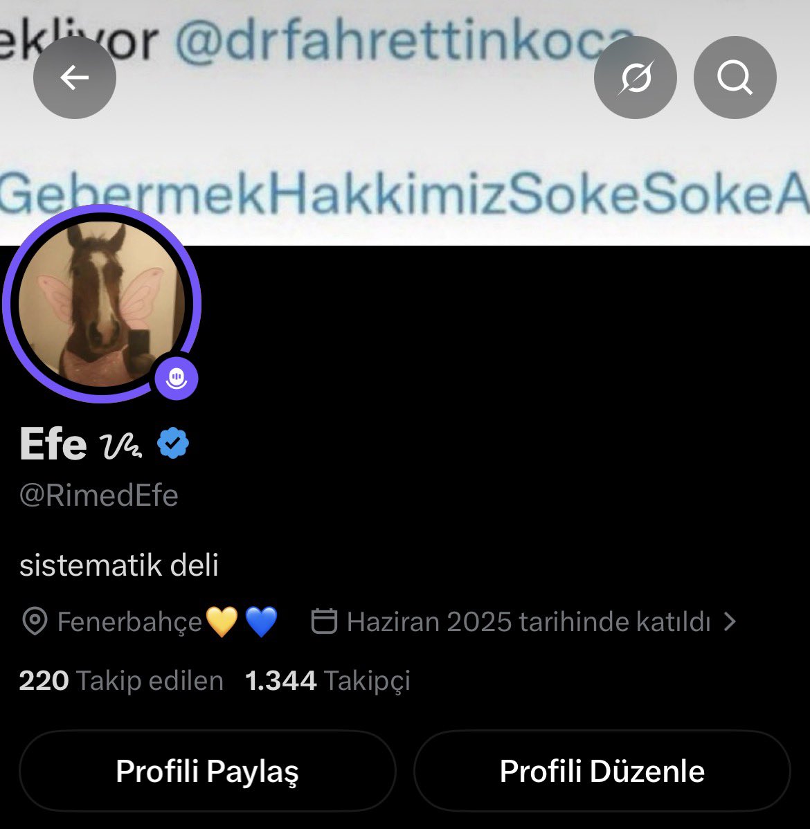 RimedEfe's tweet photo. Her şeyden çok sevdiğim twinle @felahsal https://t.co/jyJMHOuA2R