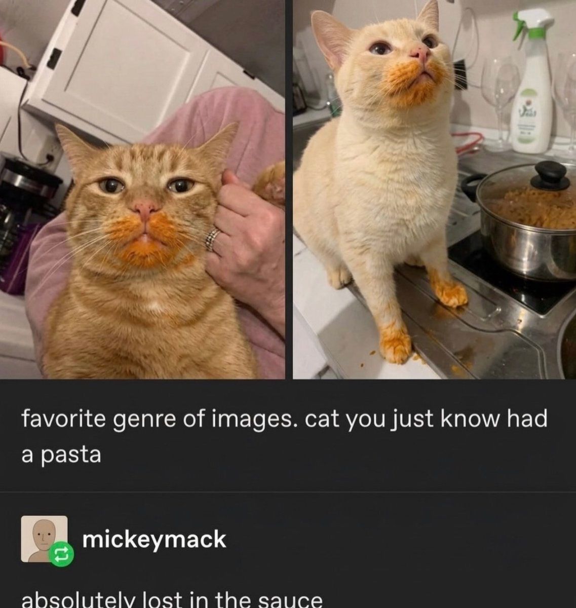 nocontextrepo's tweet photo. https://t.co/oahdSMHxuq