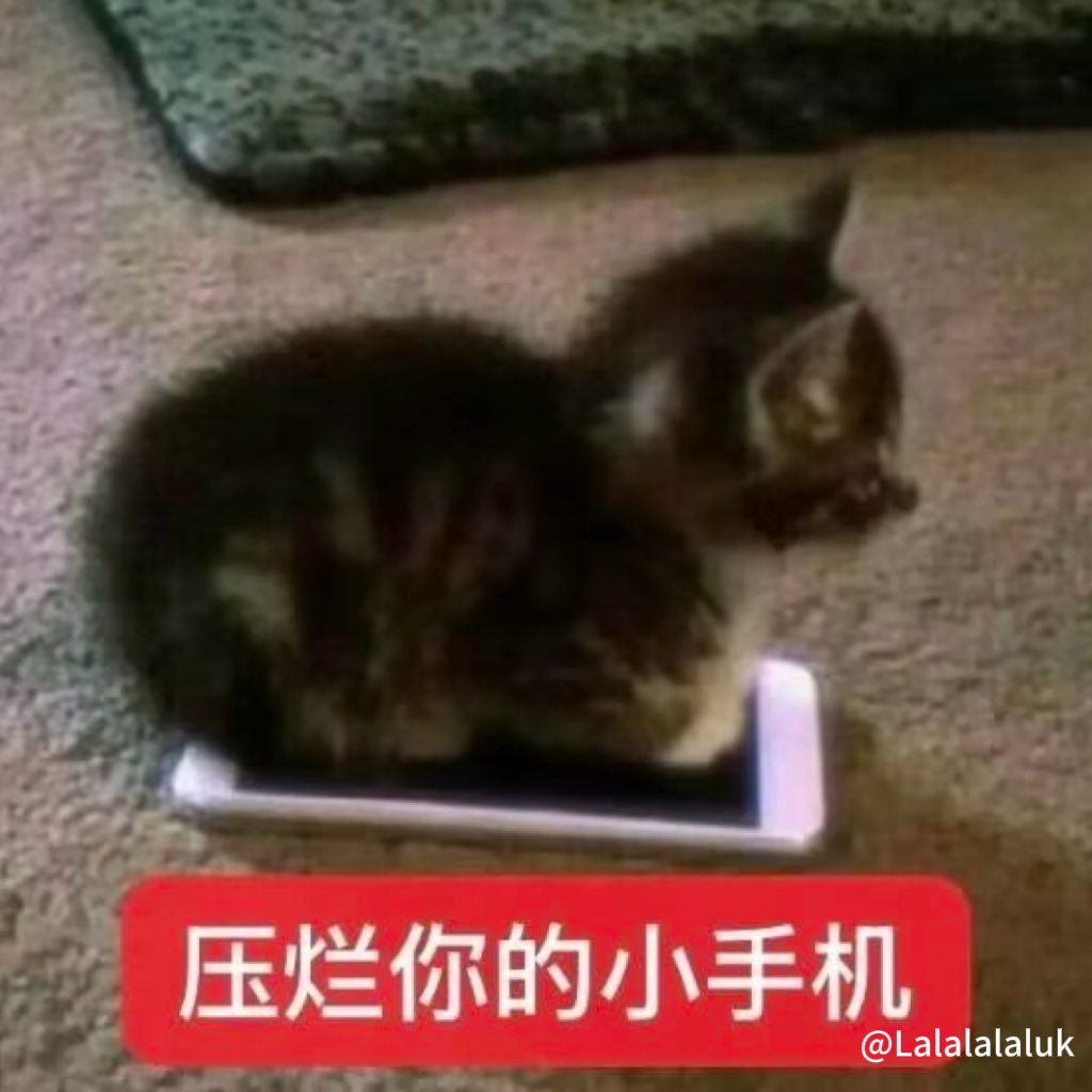 Lalalalaluk's tweet photo. 朋友一分钟没回信息的我 https://t.co/FOn9Qswh1F