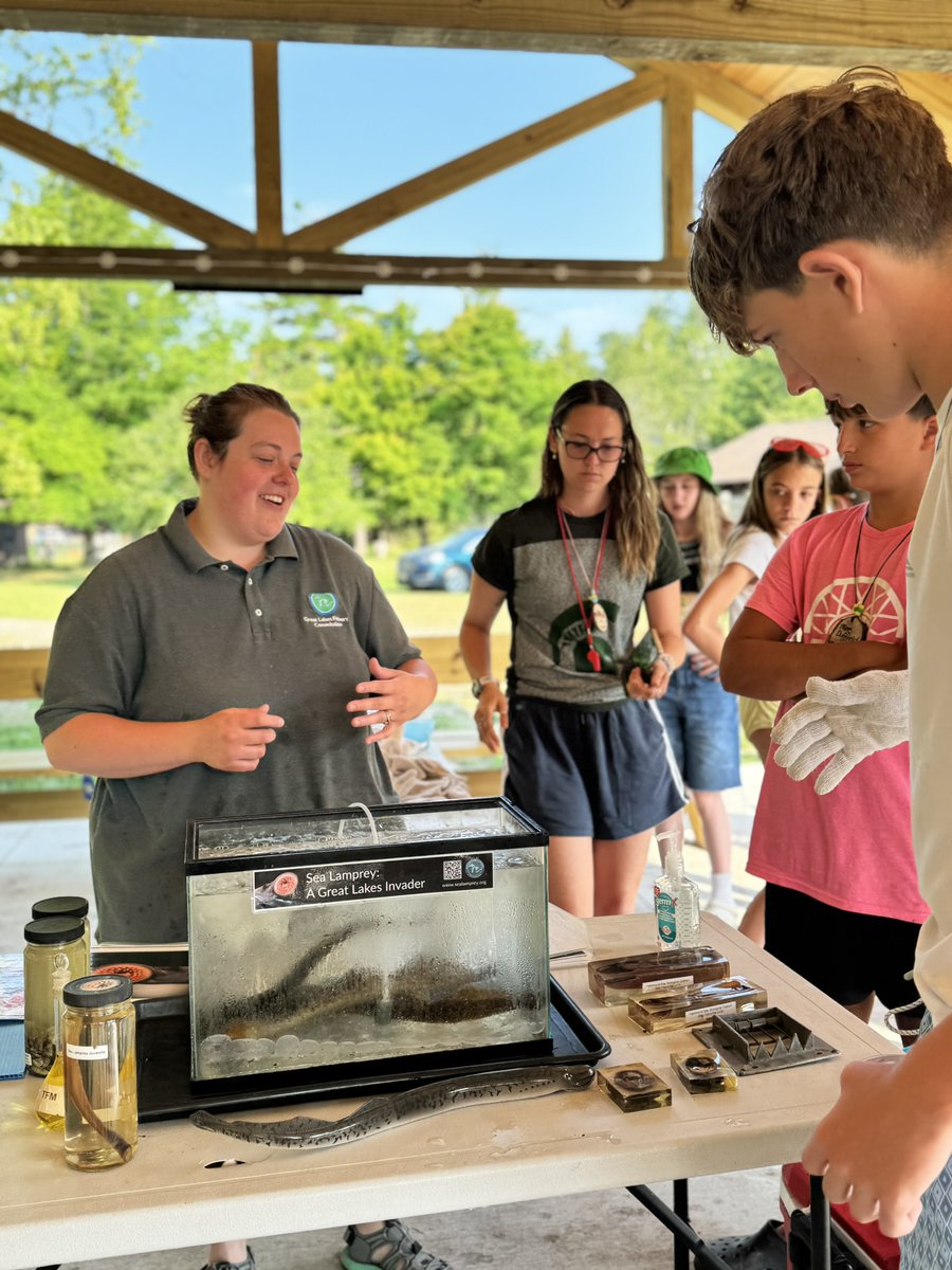 LampreyControl's tweet photo. At what summer camp can you get an up-close look at one of the most infamous invaders in #GreatLakes history? At @michiganstateu Extension's 4-H Great Lakes and Natural Resources Camp in Presque Isle County!
https://t.co/WCLQeAA7KS

📷 Michigan Sea Grant
#InvasiveSpecies #SciComm https://t.co/HDaZa7j7F7