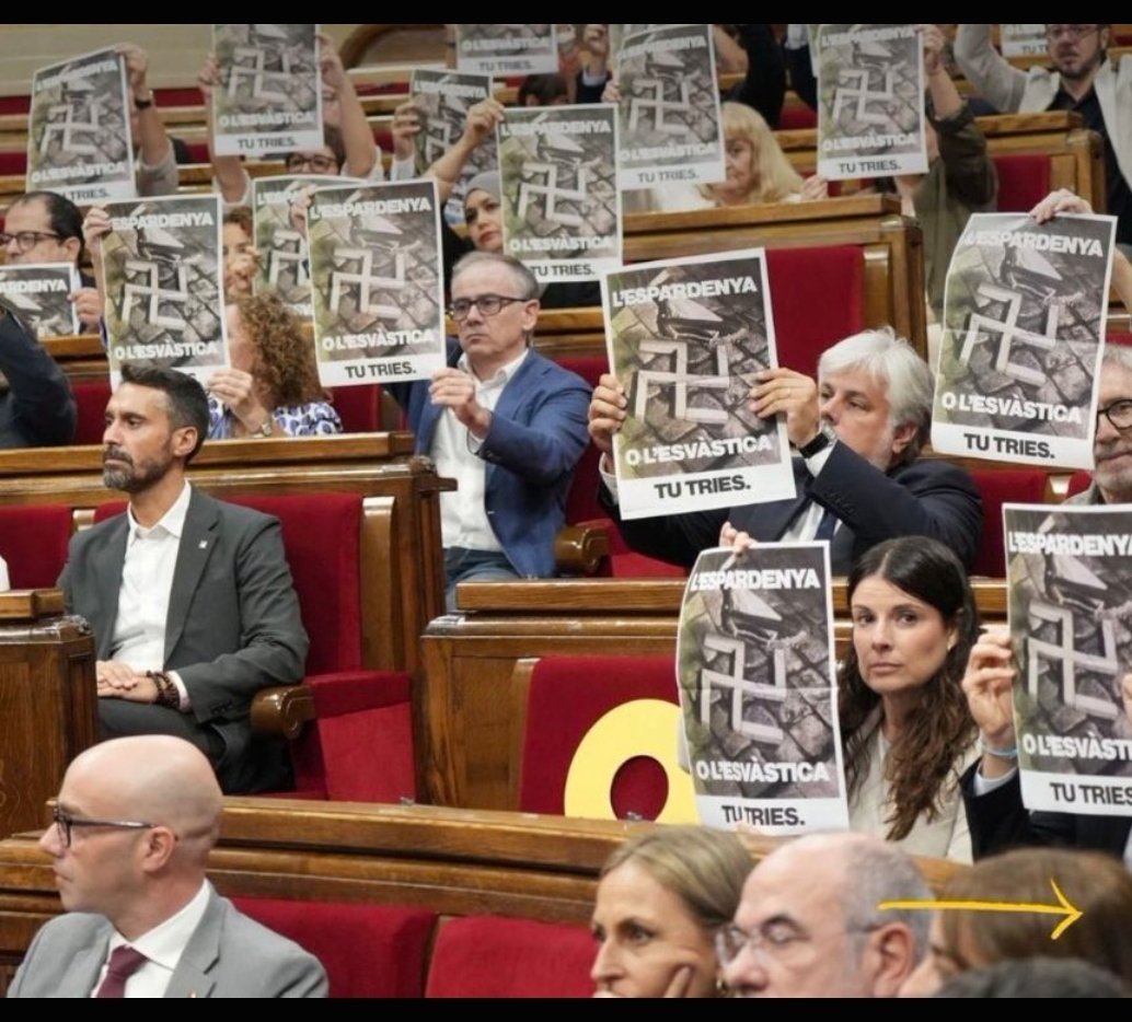 Raul_EFTA's tweet photo. Us imagineu tota aquesta tropa de vividors que en lloc de treure cartells com aquests en treiés denunciant l'escàndol de la DGAIA, per exemple? Tots calladets. https://t.co/hqNAo9Uicl