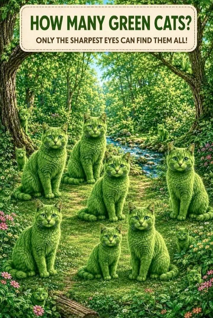 Brainy_Bits_Hub's tweet photo. 😺😺 😺 I See 14 Gareen Cats…
Can You Find Them All? 👀🔥
#Eye
#EyeTest
#PuzzleChallenge
#CanYouFindIt
#BrainTeaser
#USA #FunChallenge
#cat
#UK https://t.co/3anIL7AZyl