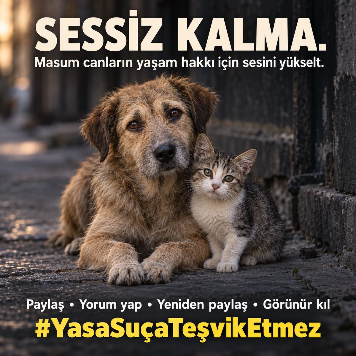aysun_aysun1905's tweet photo. Bu akşam bir paylaşımını da onlar için yap.
Sesi duyulmayan, acısı görülmeyen, yaşamı hiçe sayılan canlar için…
@nasuhbektas 
@BelovacSerap 
@cenkerenonline 
@CrazyDaisyMls 
@CPatileri38848 
@Dilaraerkmen_ 

#YasaSuçaTeşvikEtmez https://t.co/7etTGUhZya