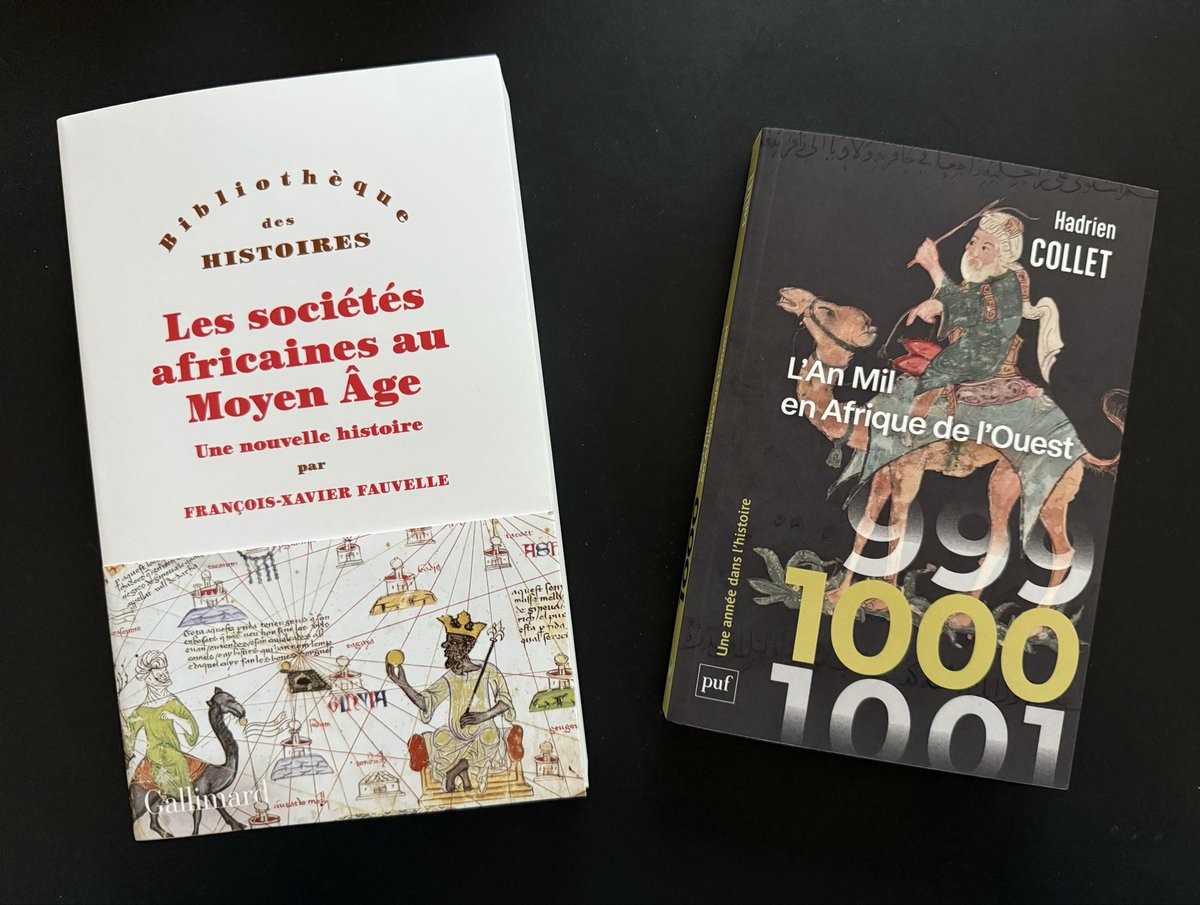 flr_louis's tweet photo. Deux importantes parutions qui participent d’une même ambition d’ouvrir les horizons médiévaux aux mondes africains. https://t.co/Z1qavyA8LL