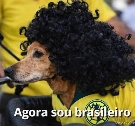lastra_diez's tweet photo. Hasta que @LulaOficial gane las elecciones de #Brasil2026 

#BoraLula #LULABRASILSOBERANO https://t.co/dpBA6yoq67