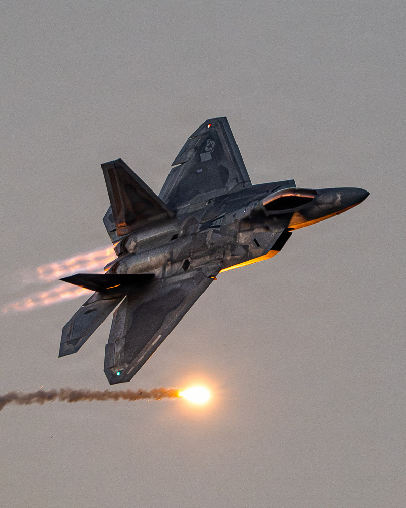 Remnantize's tweet photo. F-22 Raptor https://t.co/LueXz2ze7n